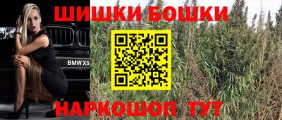 МДПВ Ирбит
