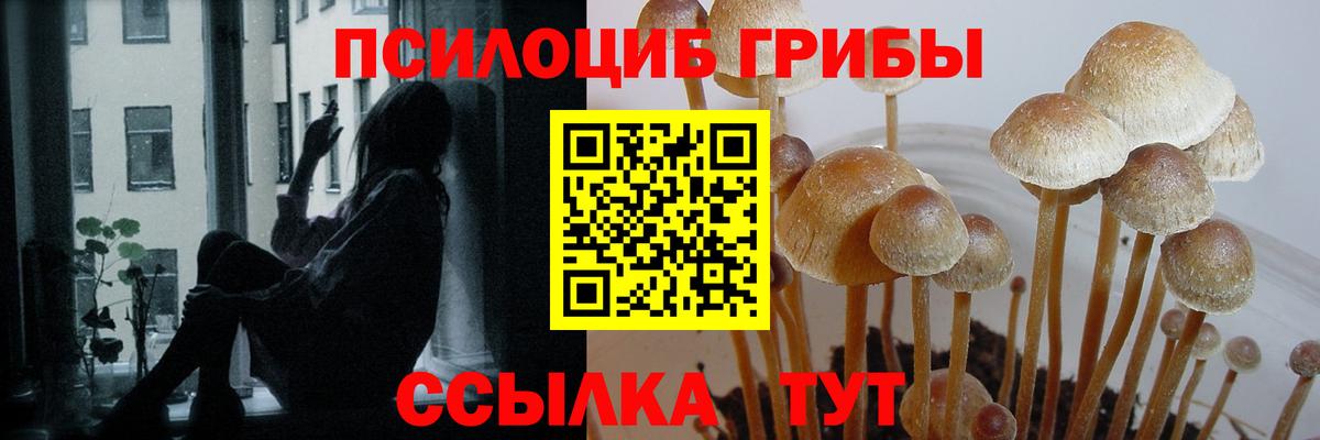 Кызыл  Галлюциногенные грибы MAGIC MUSHROOMS  Галлюциногенные грибы Magic Shrooms  сколько стоит  Вход с VPN 