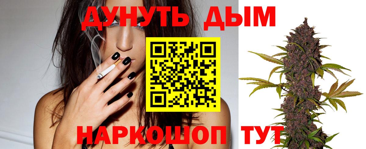 Бошки Шишки ГИДРОПОН  Бошки Шишки гибрид  Вход с VPN  Шишки марихуана сатива  Кызыл 